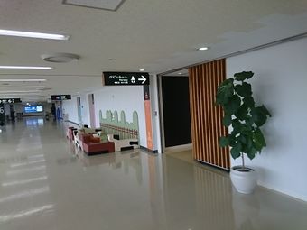 熊本空港 2FGATE5 .JPG
