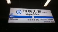 Sagamioono4.JPG