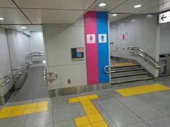 東京駅 東海道新幹線 八重洲中央北口2.JPG